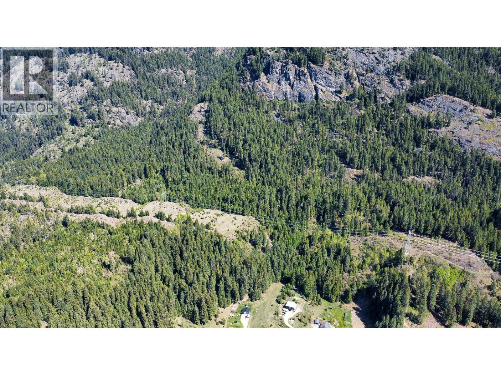 Upper Slocan Park Road Road Property Photo 40