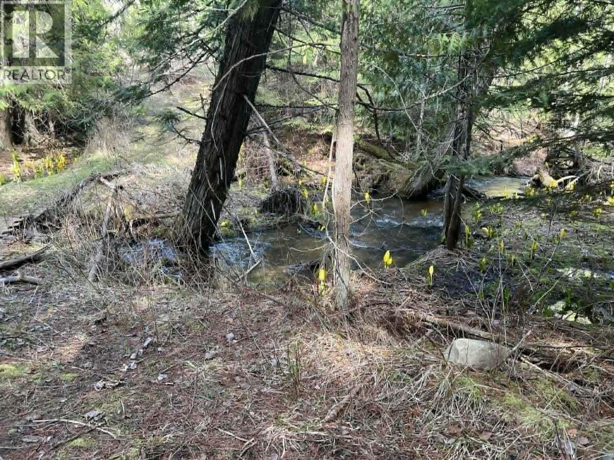 1325 Lakeview Arrow Creek Road Property Photo 31