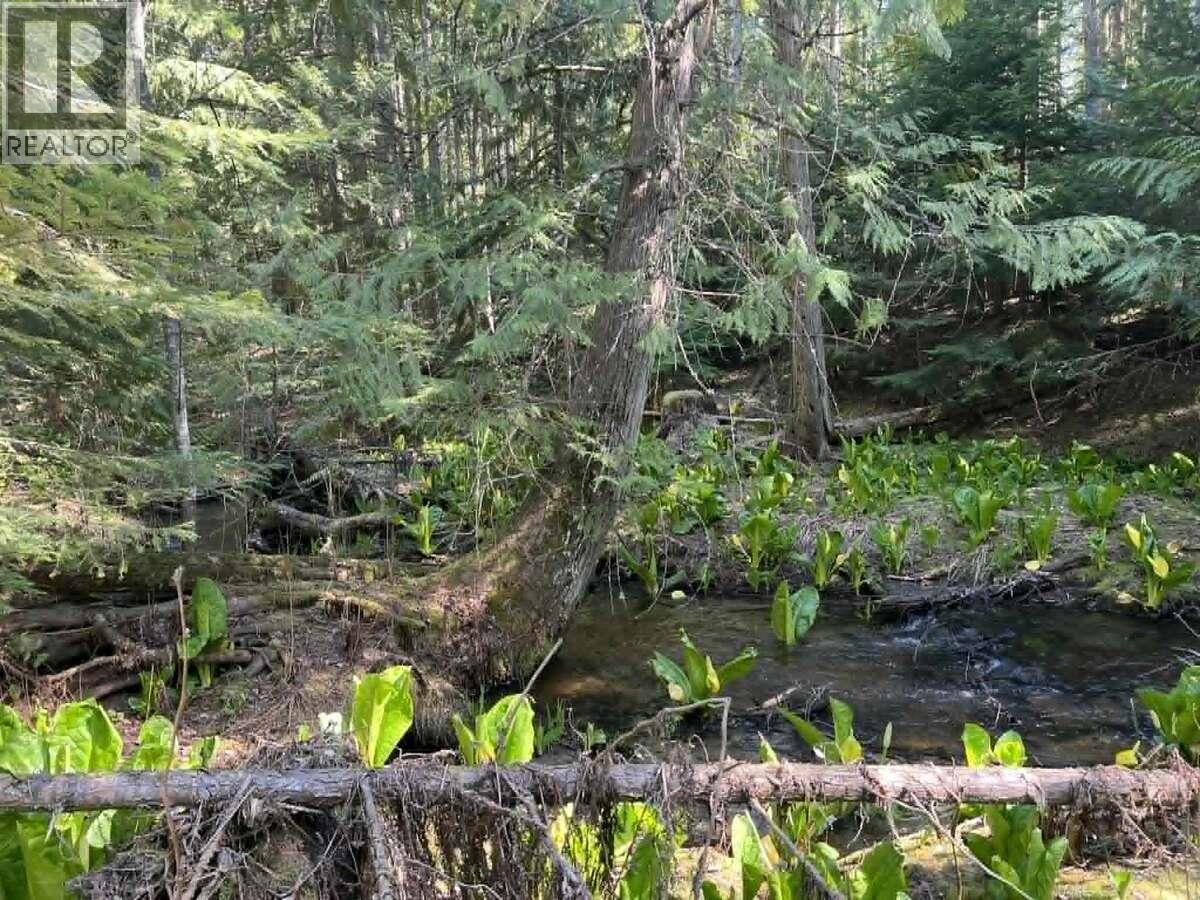 1325 Lakeview Arrow Creek Road Property Photo 38