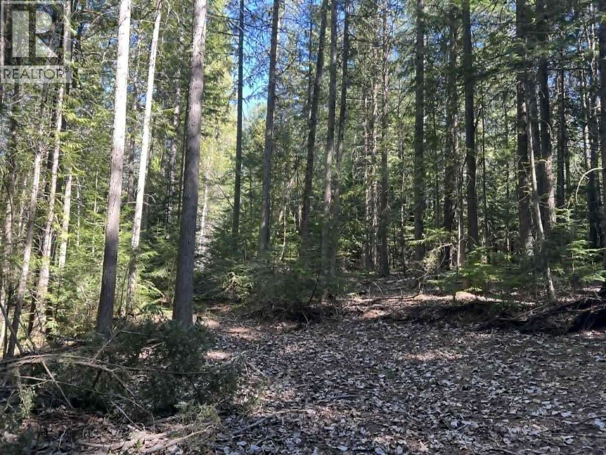 1325 Lakeview Arrow Creek Road Property Photo 42