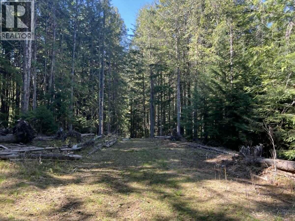 1325 Lakeview Arrow Creek Road Property Photo 43