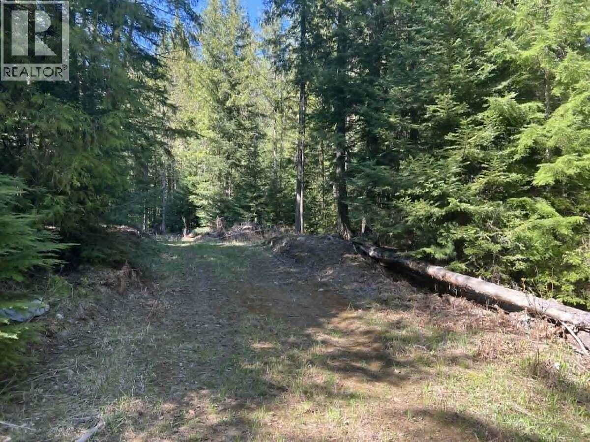 1325 Lakeview Arrow Creek Road Property Photo 44