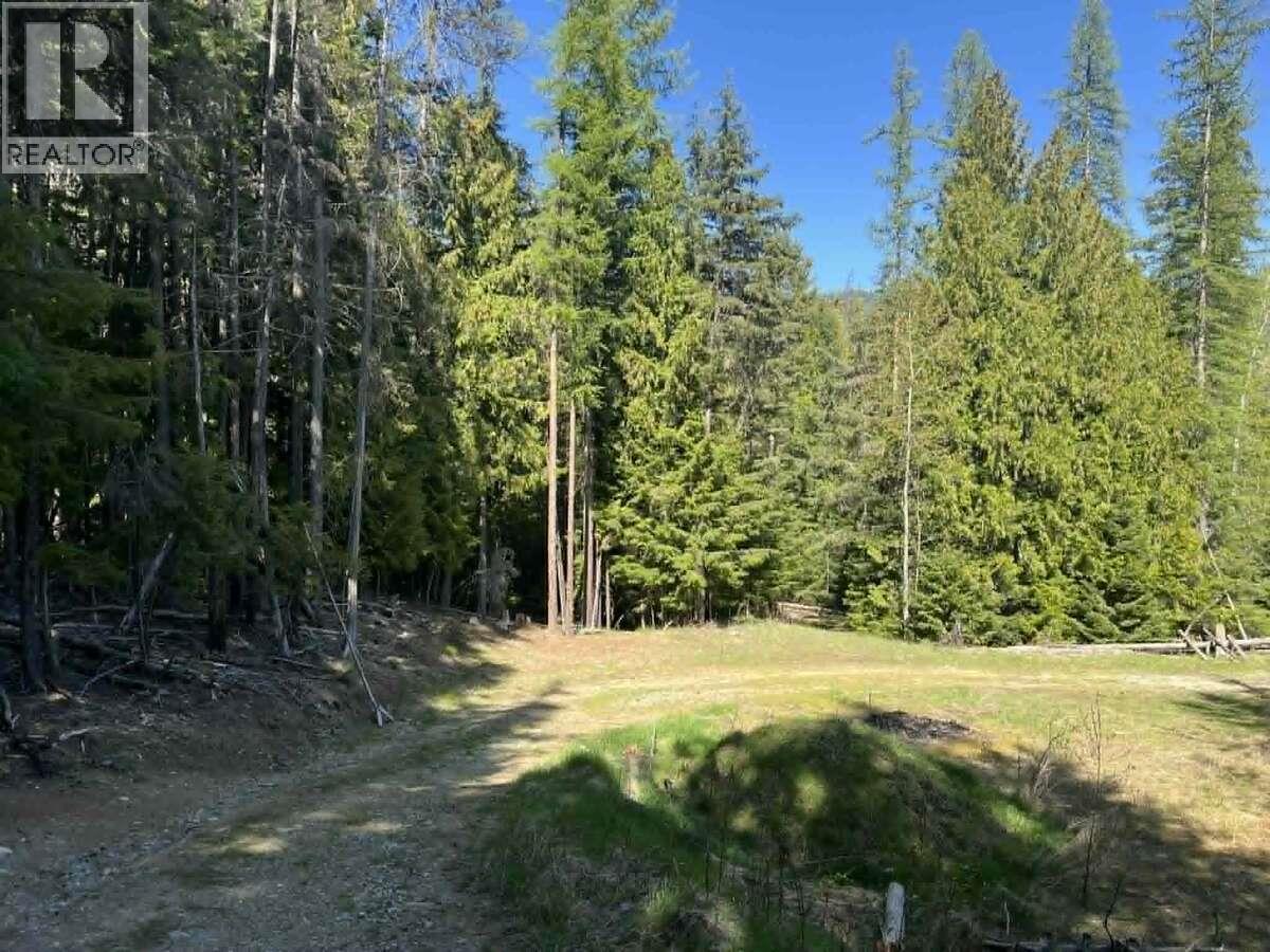 1325 Lakeview Arrow Creek Road Property Photo 45
