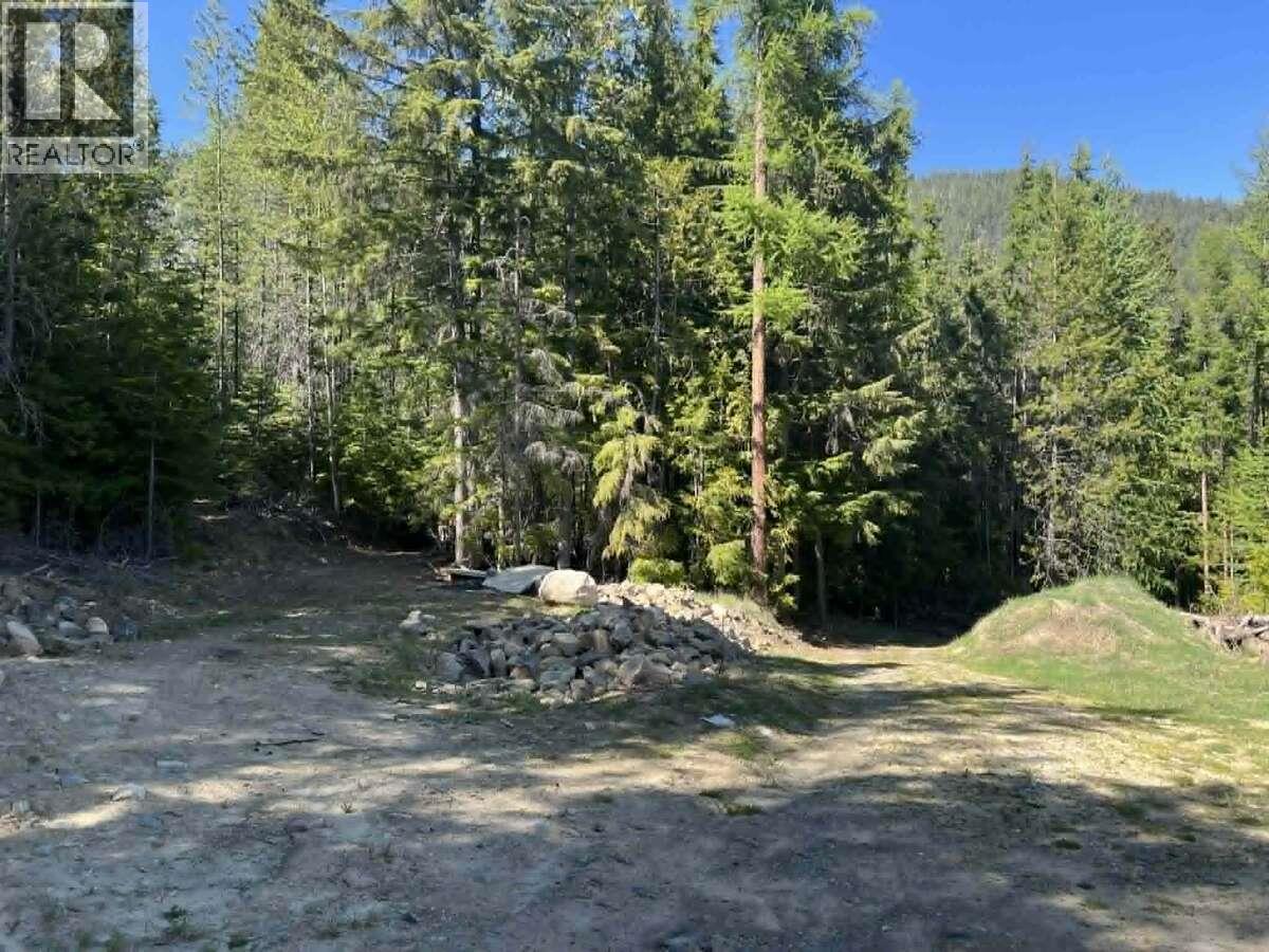 1325 Lakeview Arrow Creek Road Property Photo 46