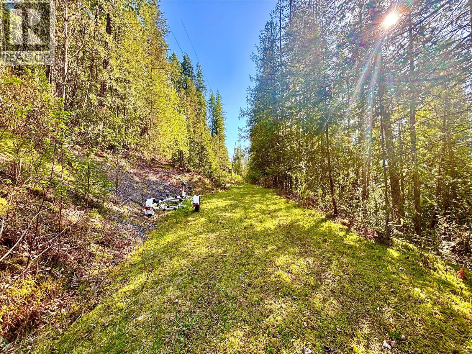 3614 Lumby Mabel Lake Road Property Photo 5
