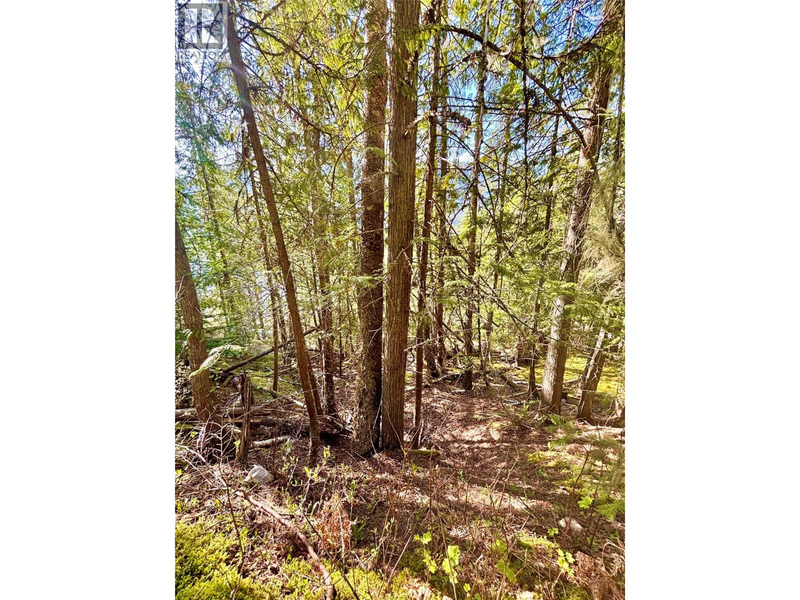 3614 Lumby Mabel Lake Road Property Photo 41