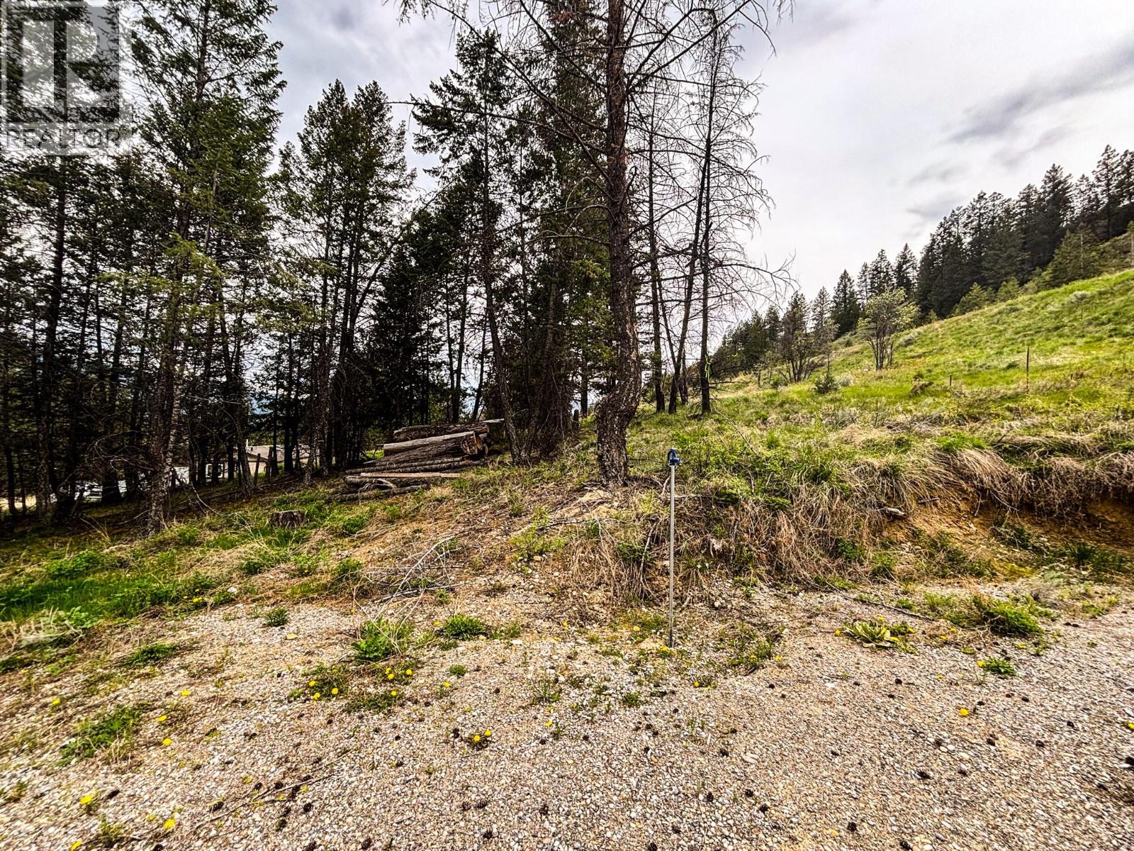 Lot A Columbia Lake Road Property Photo 12