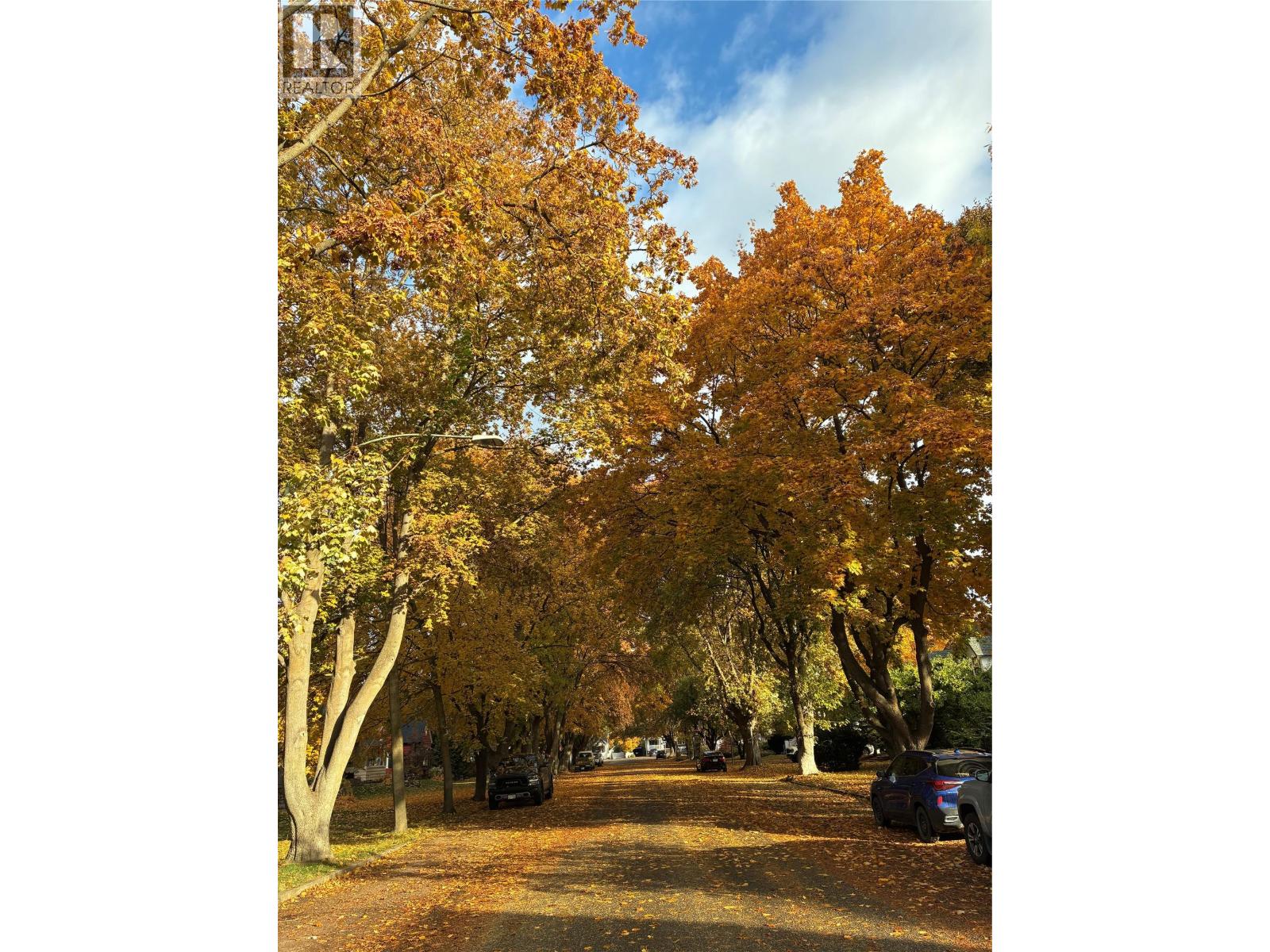 1847 Maple Street Property Photo 6