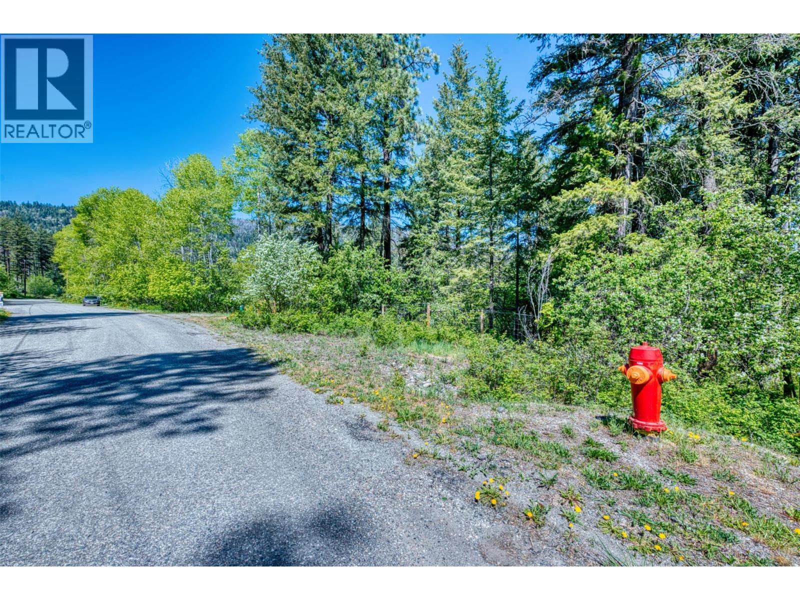 Lot 42 Alpine Road Property Photo 7