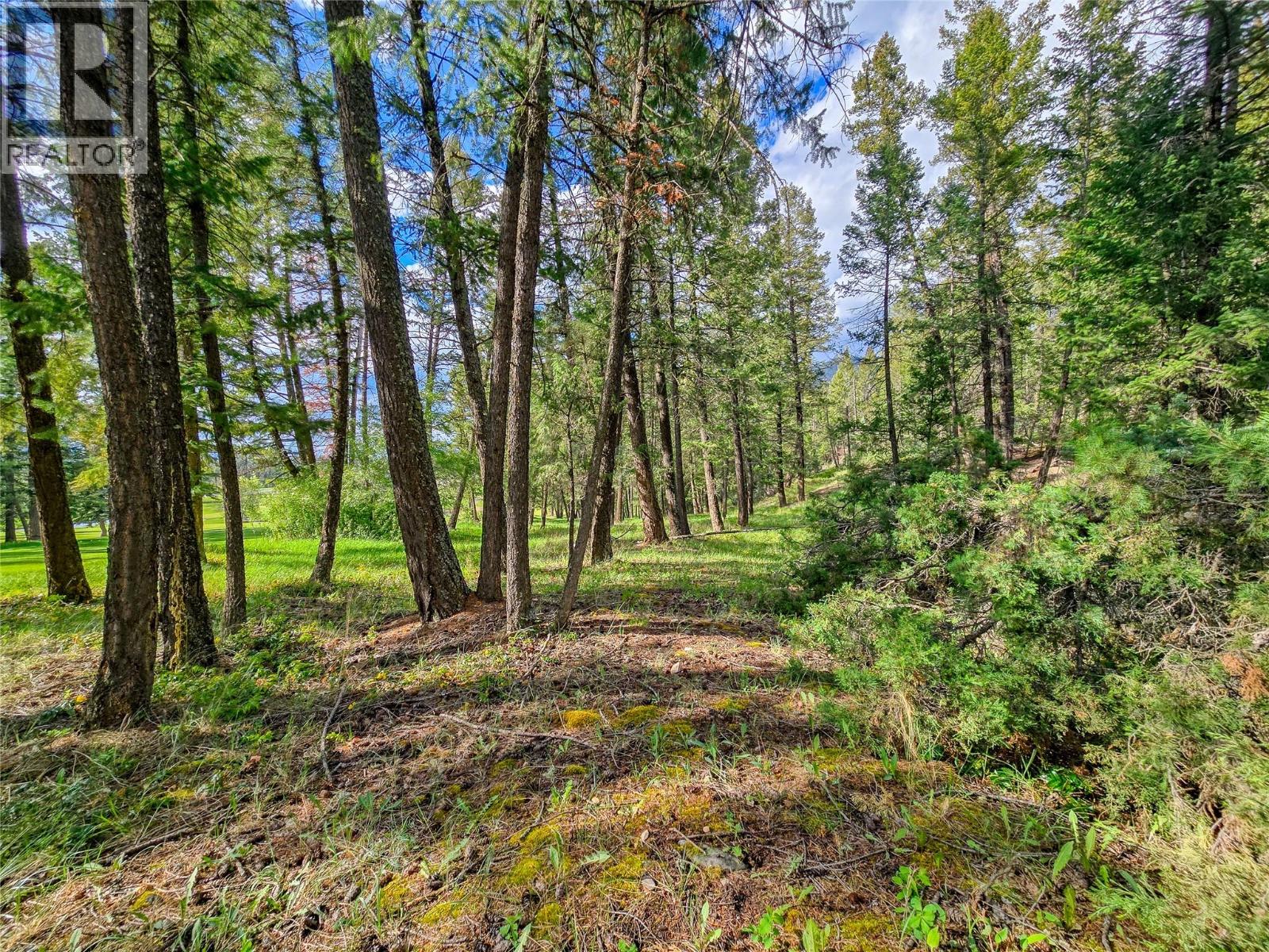 5060 Hot Springs Road Property Photo 23