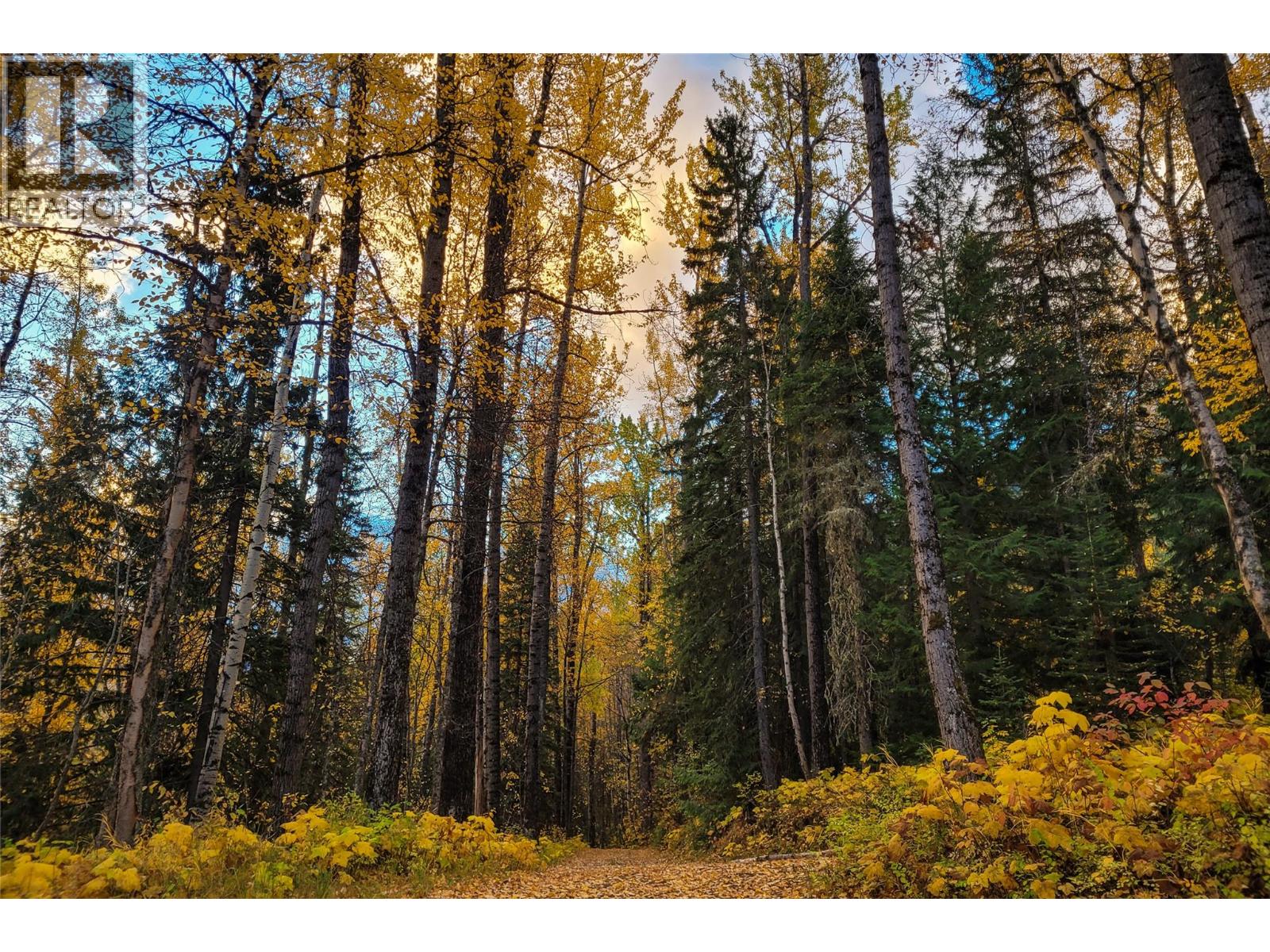 6179 Kubinec Road Property Photo 32