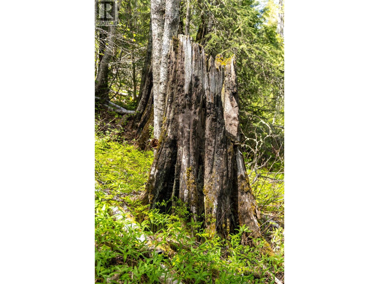 6179 Kubinec Road Property Photo 80