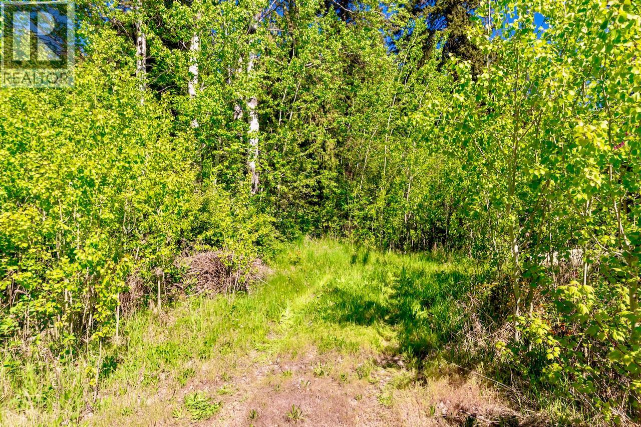 3035 Squilax-anglemont Road Property Photo 39
