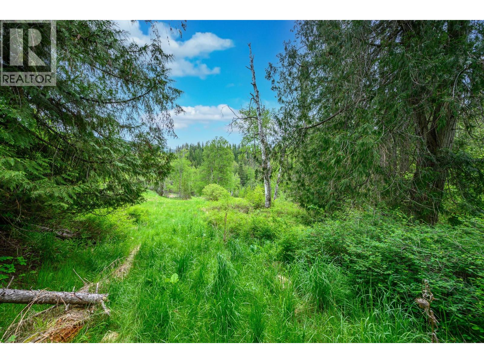 522 North Fork Road Property Photo 65