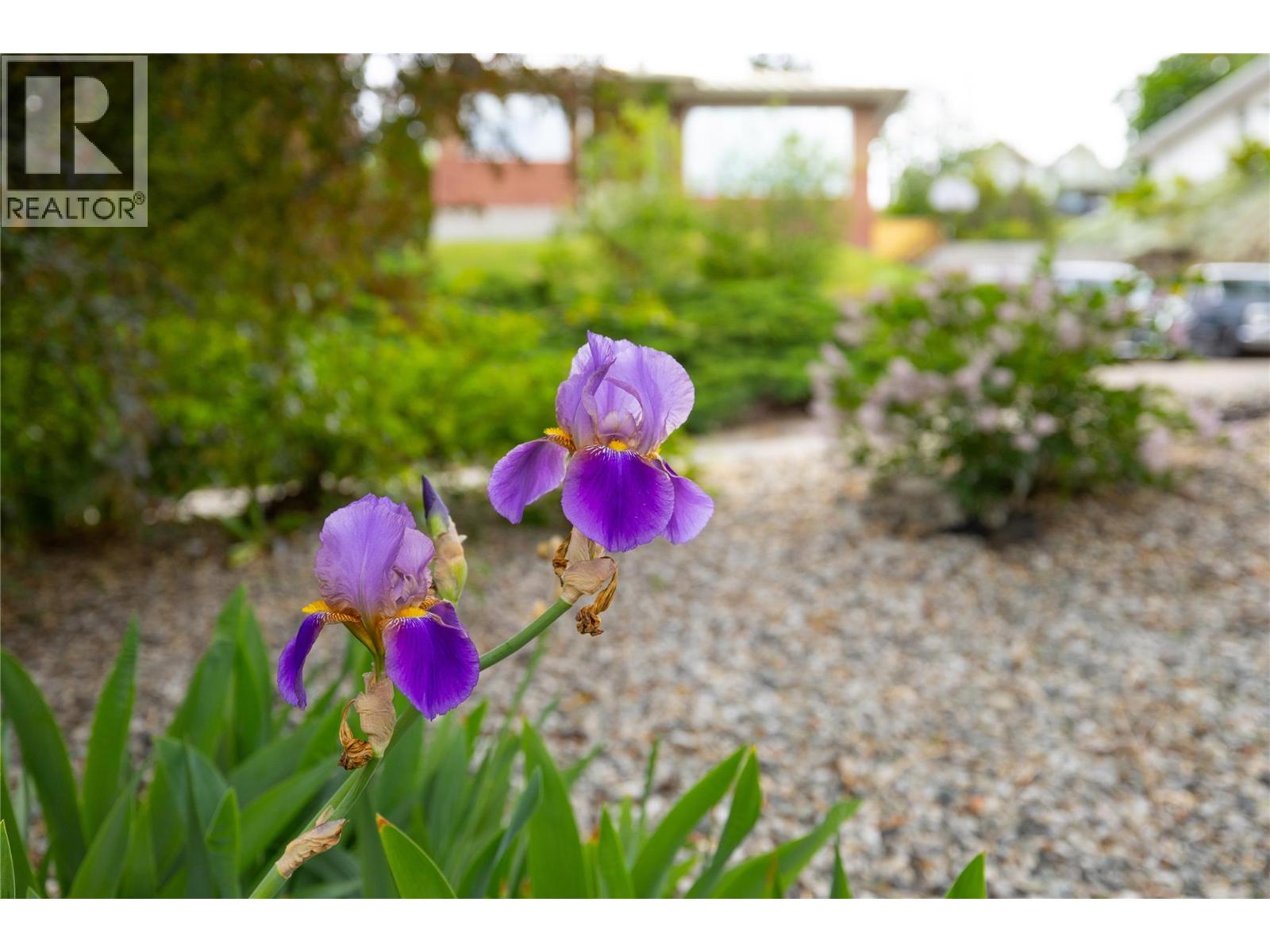 2904 24 Street Property Photo 4