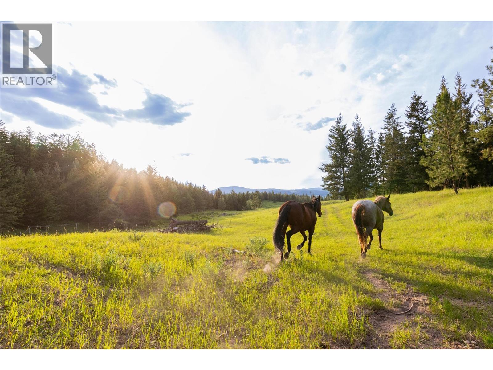 3685 Duck Range Road Property Photo 51