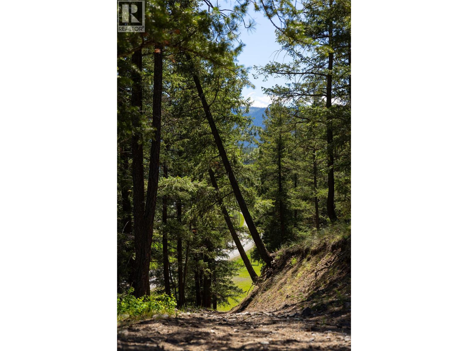 4644 97 Highway Property Photo 54