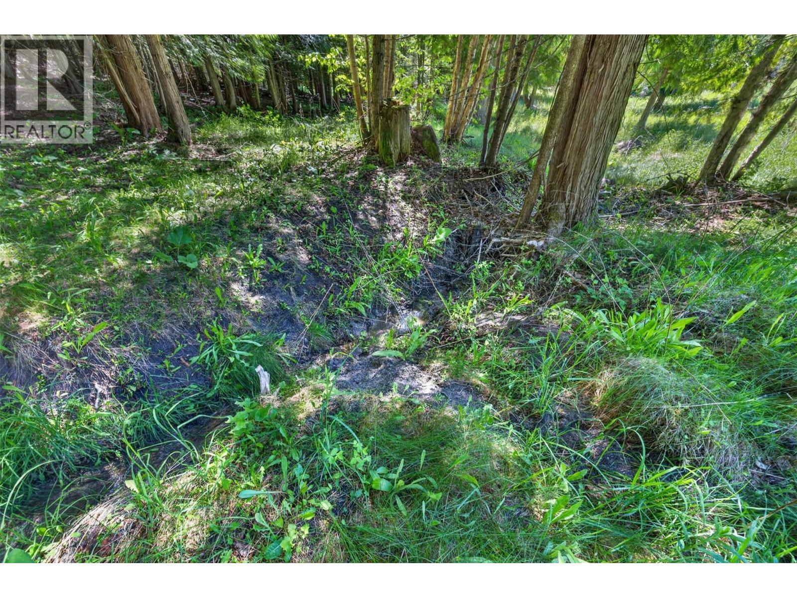31 Violet Road Property Photo 65