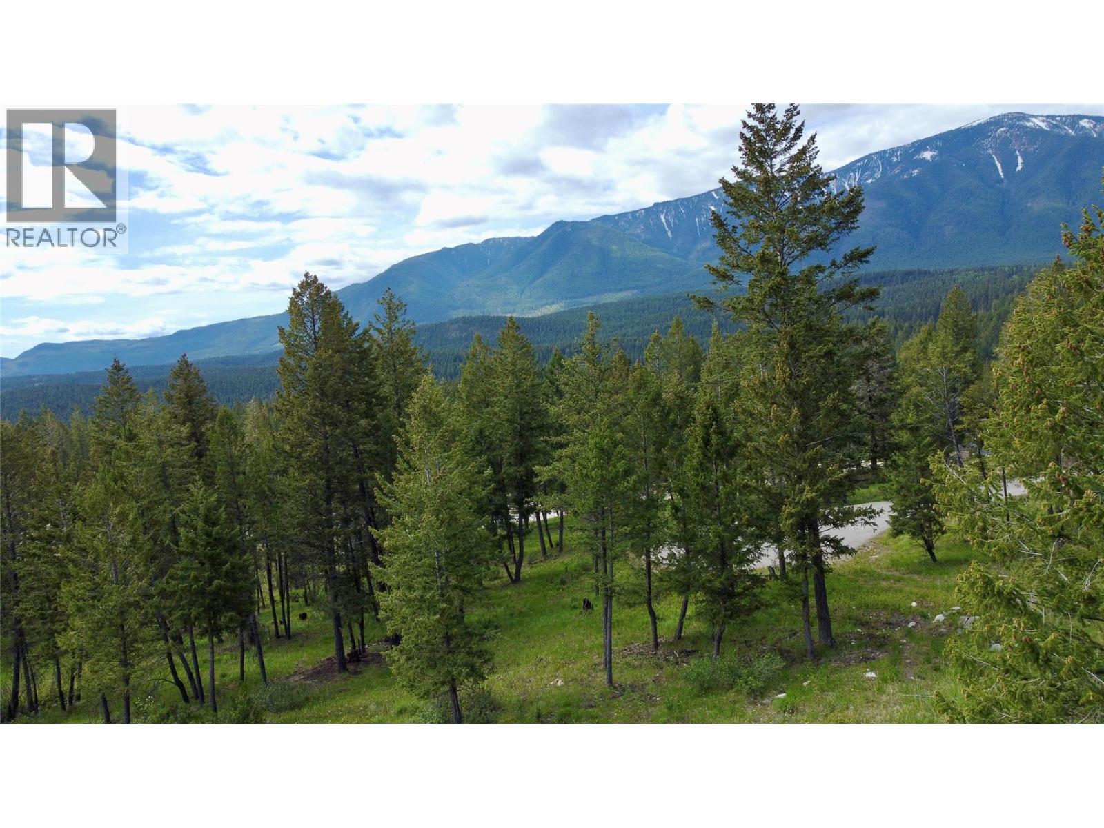 2627 Taynton Trail Property Photo 16
