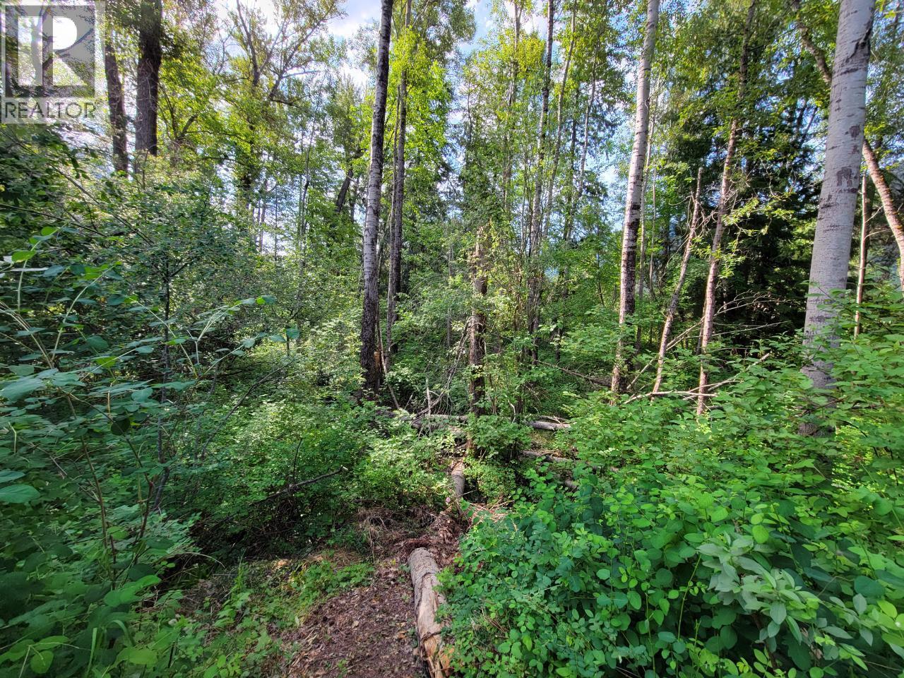 Lot 1 Passmore Old Road Property Photo 3