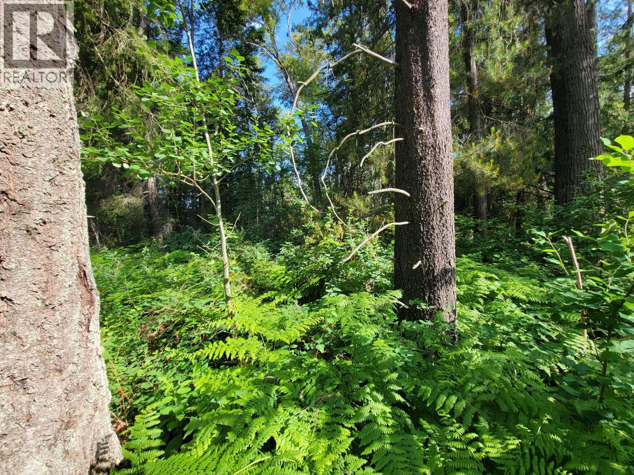Lot 1 Passmore Old Road Property Photo 13