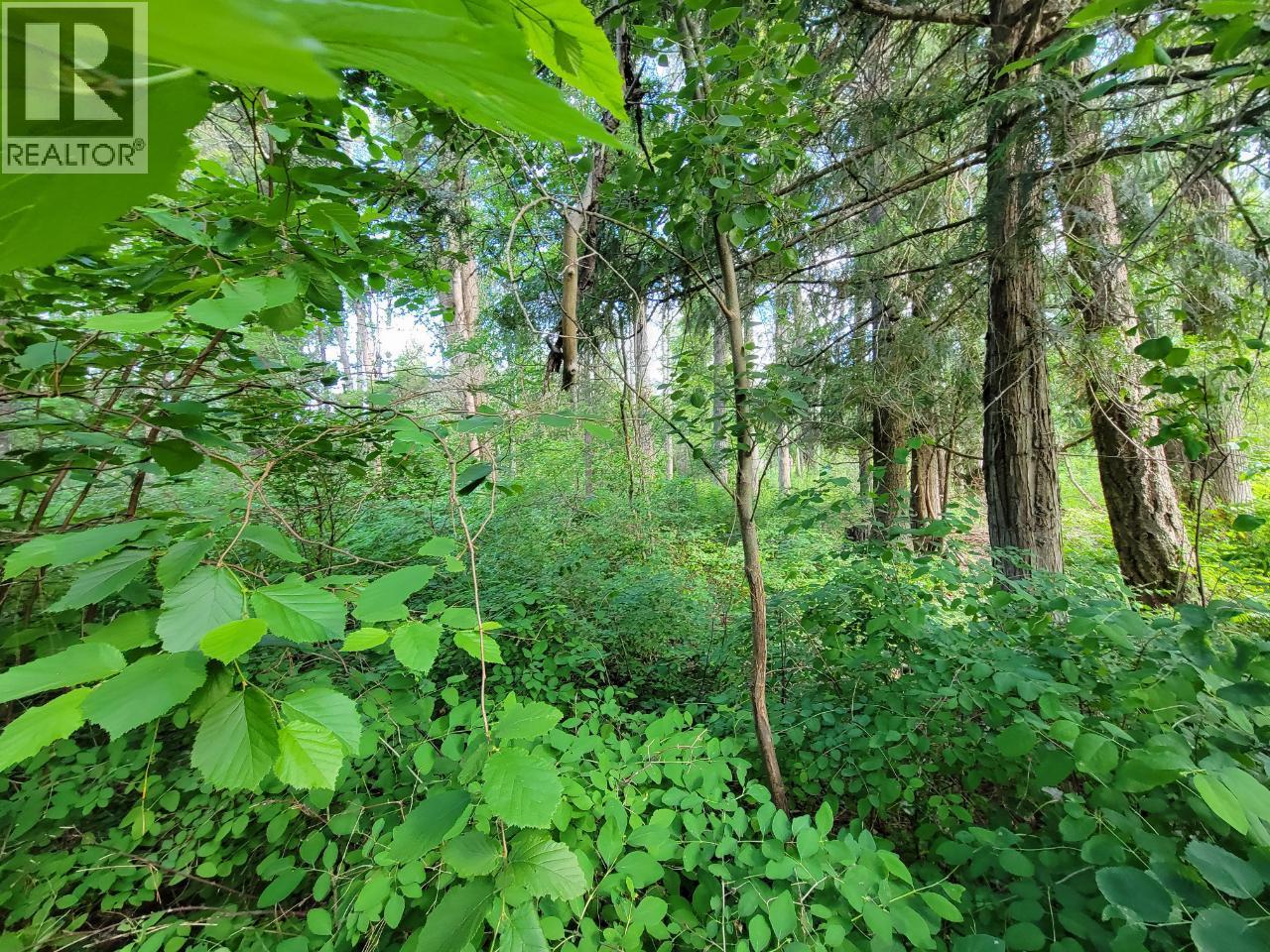 Lot 1 Passmore Old Road Property Photo 14