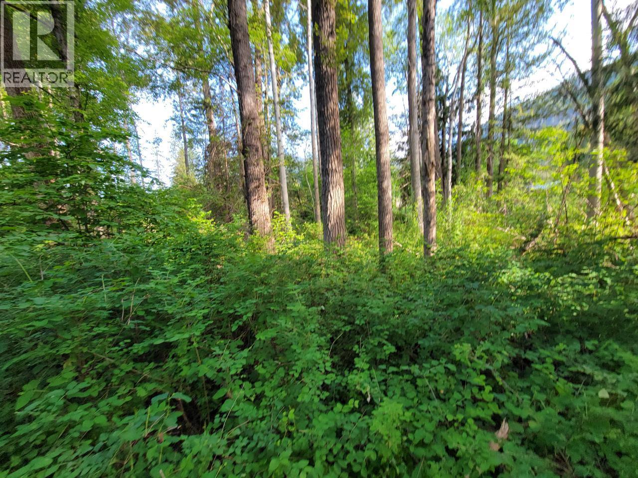 Lot 1 Passmore Old Road Property Photo 16