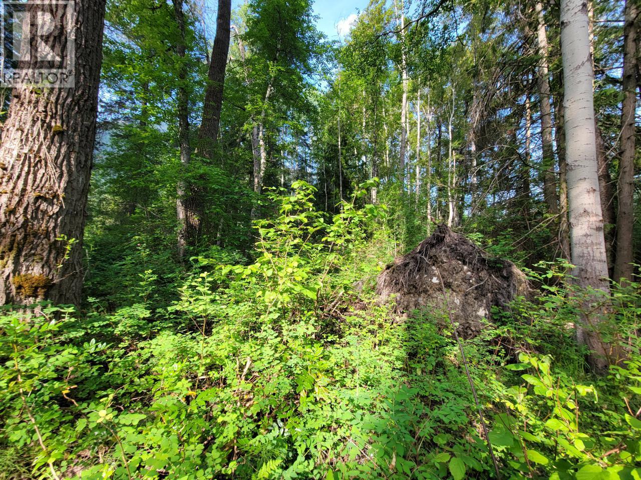 Lot 1 Passmore Old Road Property Photo 17