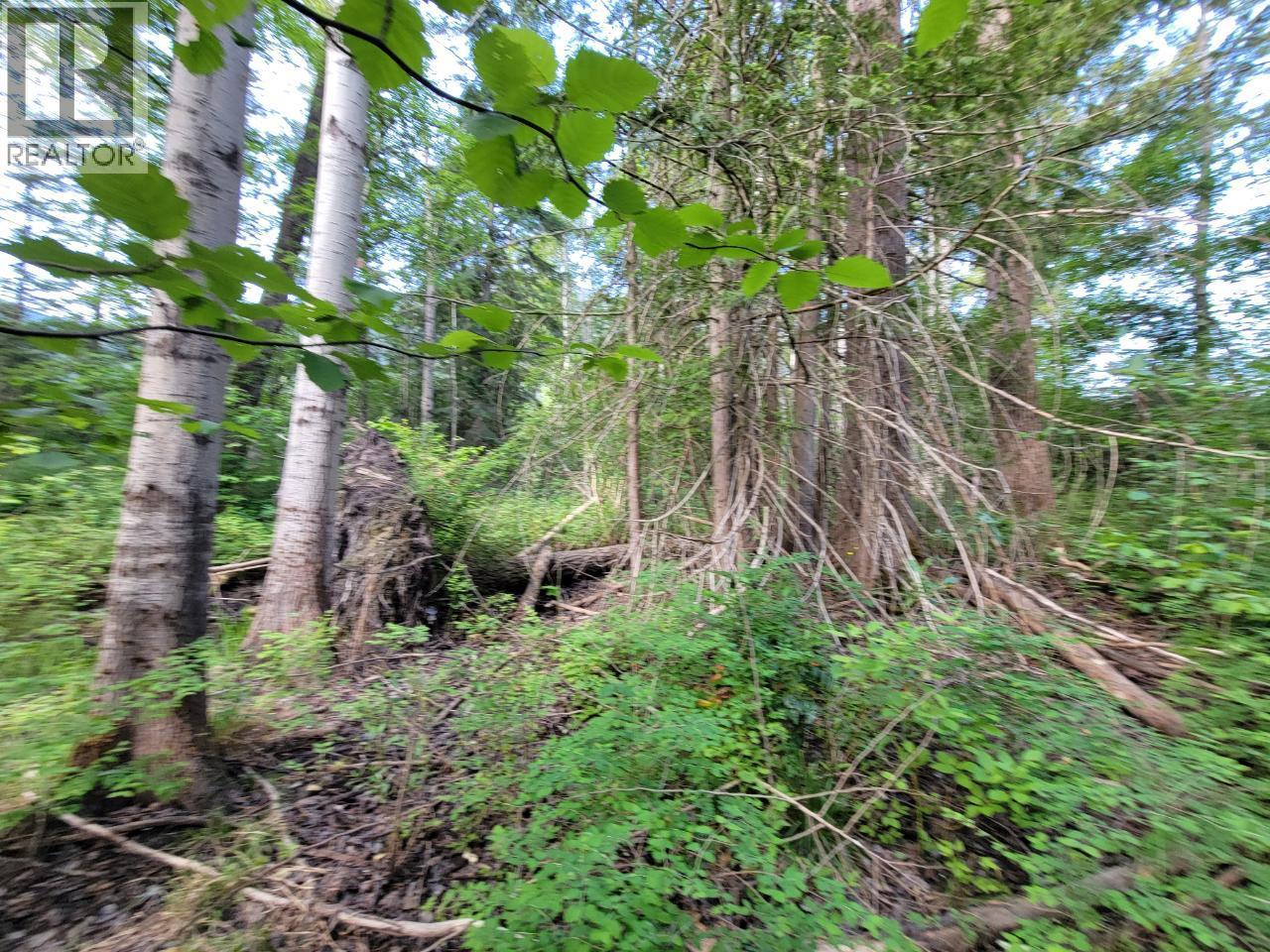 Lot 1 Passmore Old Road Property Photo 19