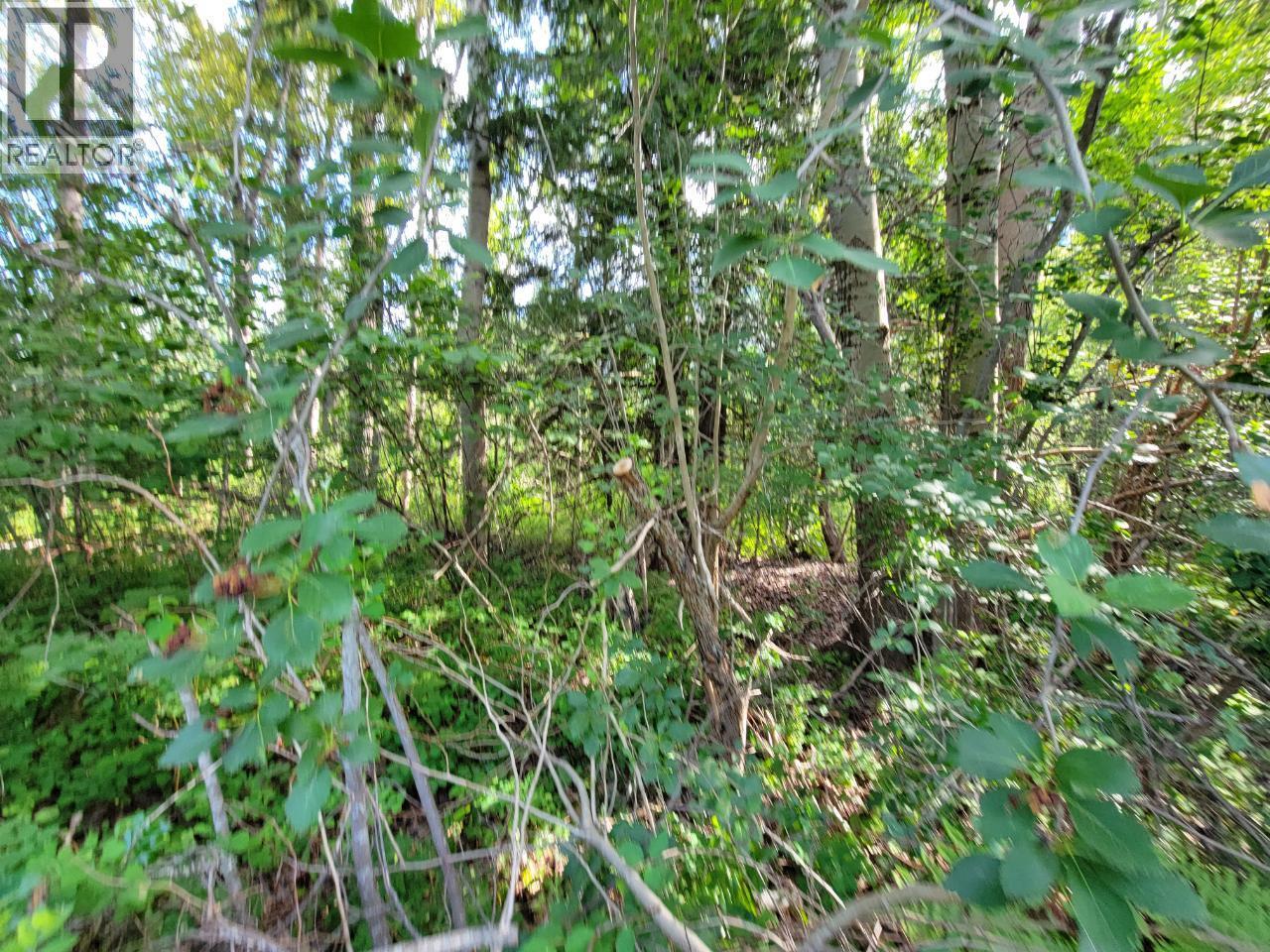Lot 1 Passmore Old Road Property Photo 26