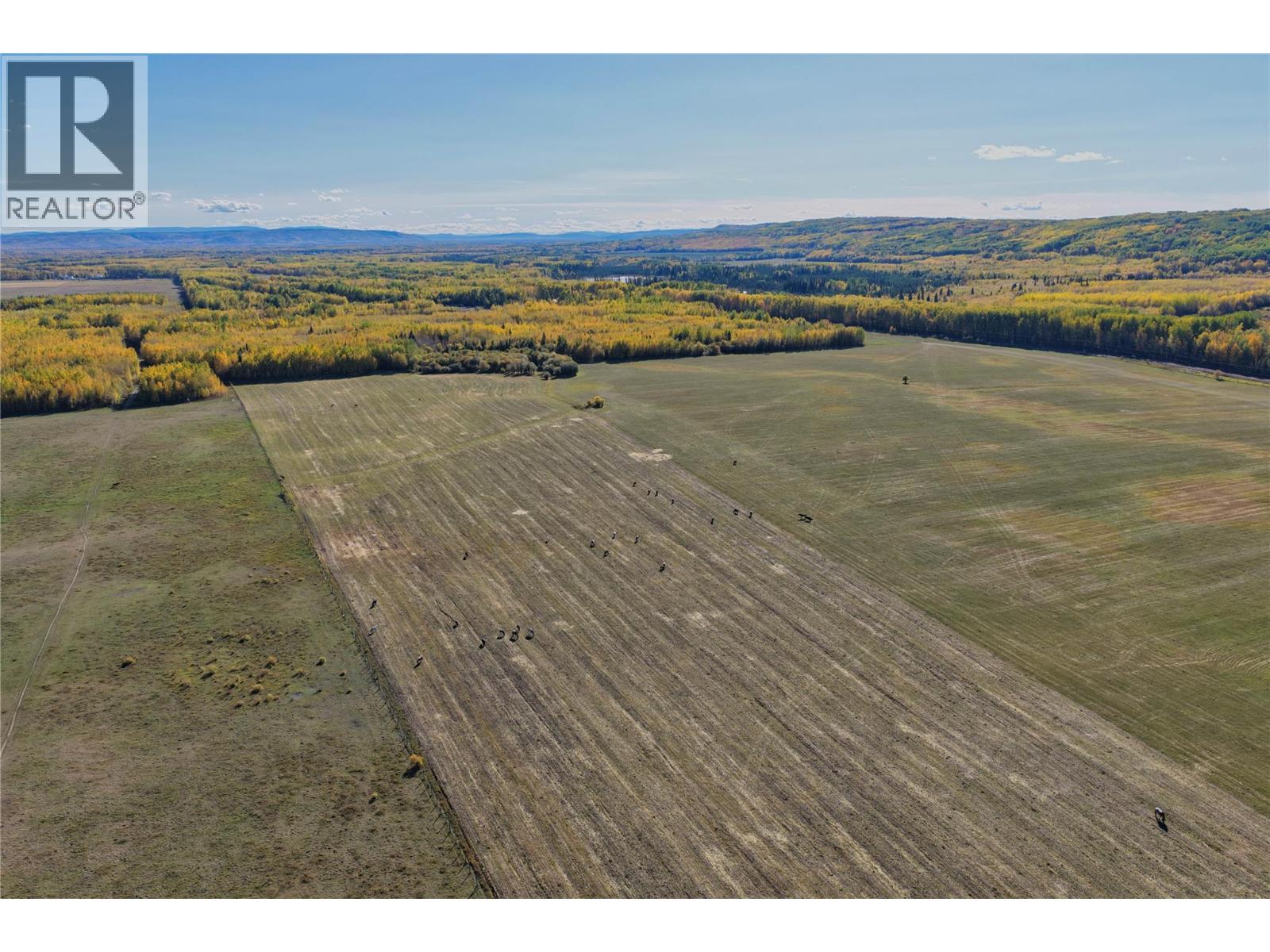 790/770 Jackfish Lake Road Property Photo 35