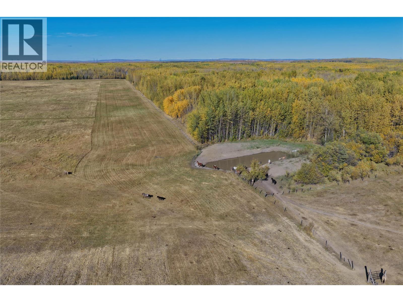 790/770 Jackfish Lake Road Property Photo 41