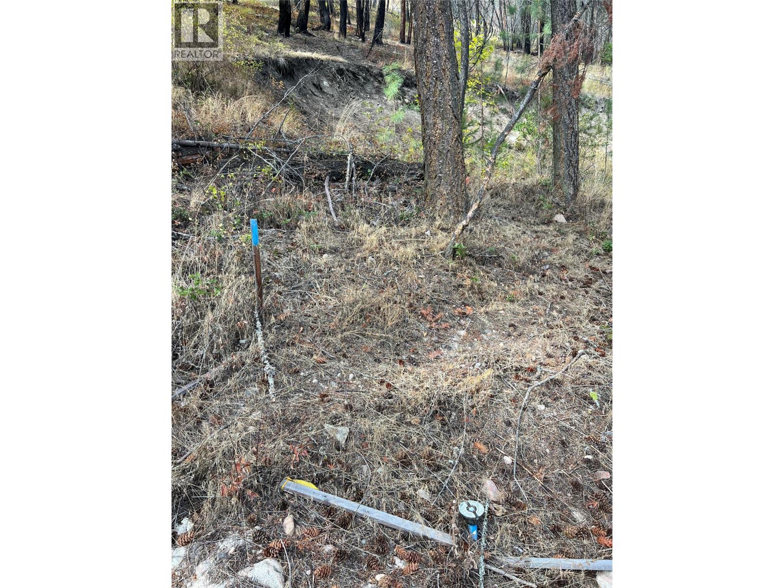 9308 Winchester Road Property Photo 4