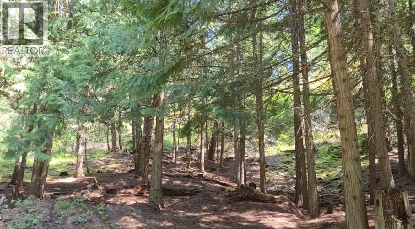 Snider Road Lot# B Property Photo 5