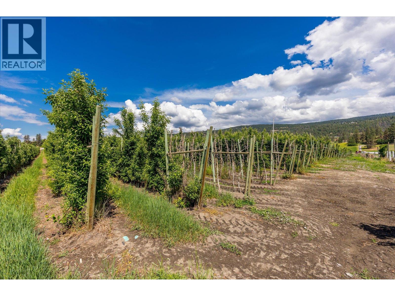 5790 Rittich Road Property Photo 11