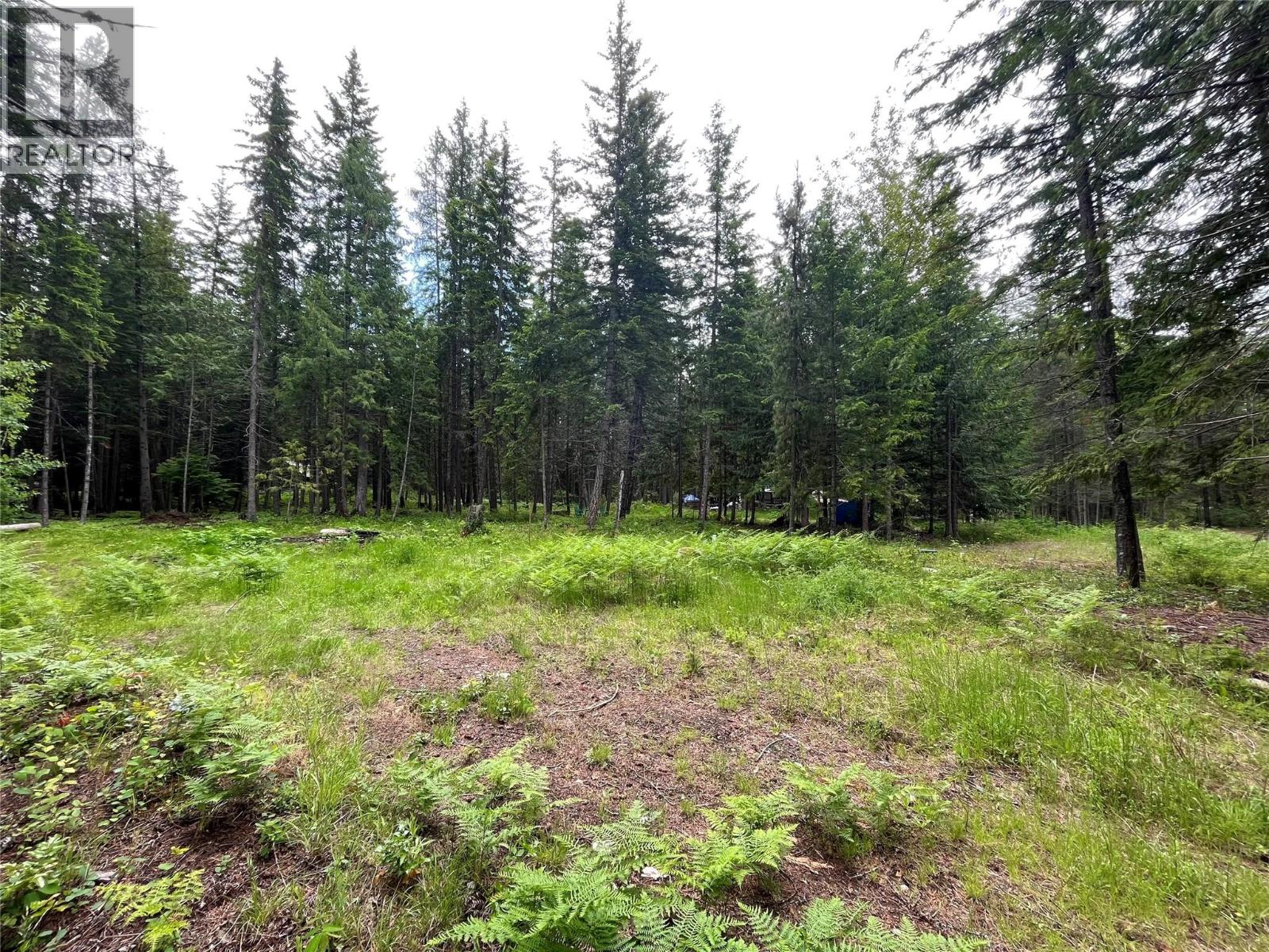 5619 6 Highway Property Photo 5