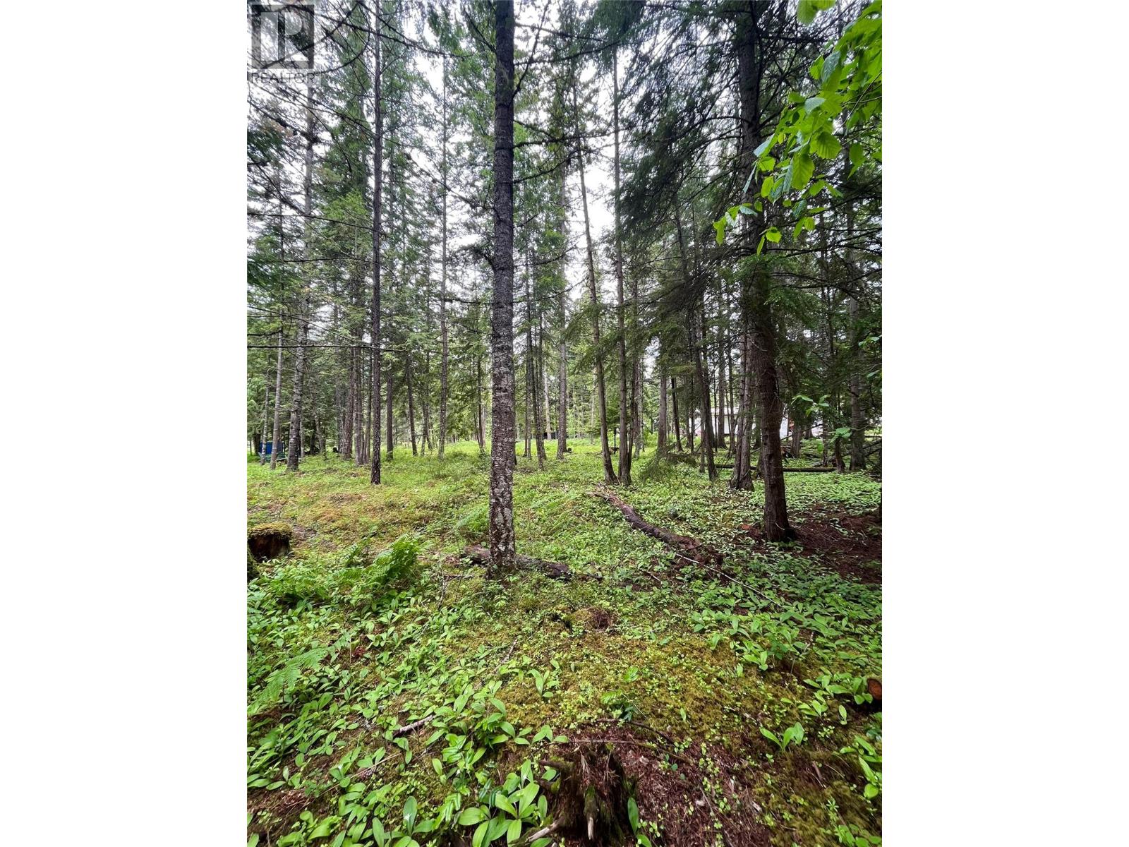 5619 6 Highway Property Photo 10