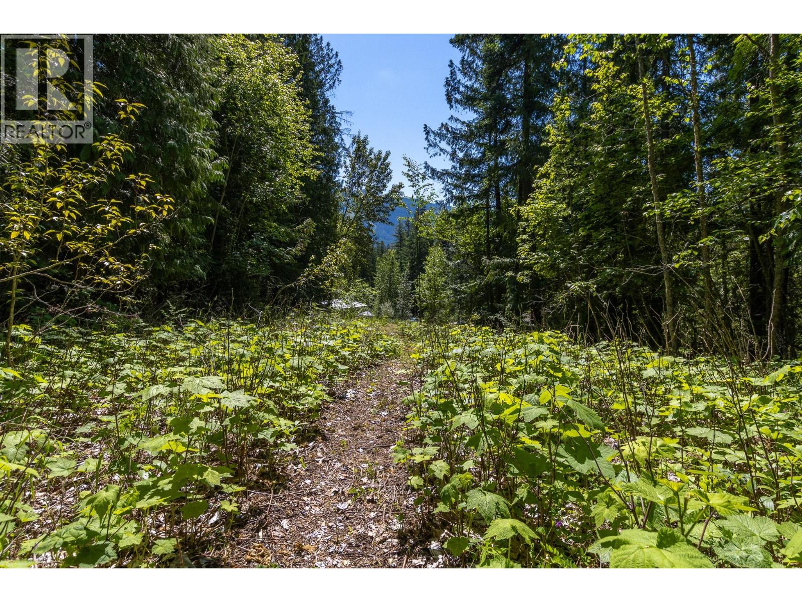 Sunnybrae Canoe Point Road Lot# 2 Property Photo 29