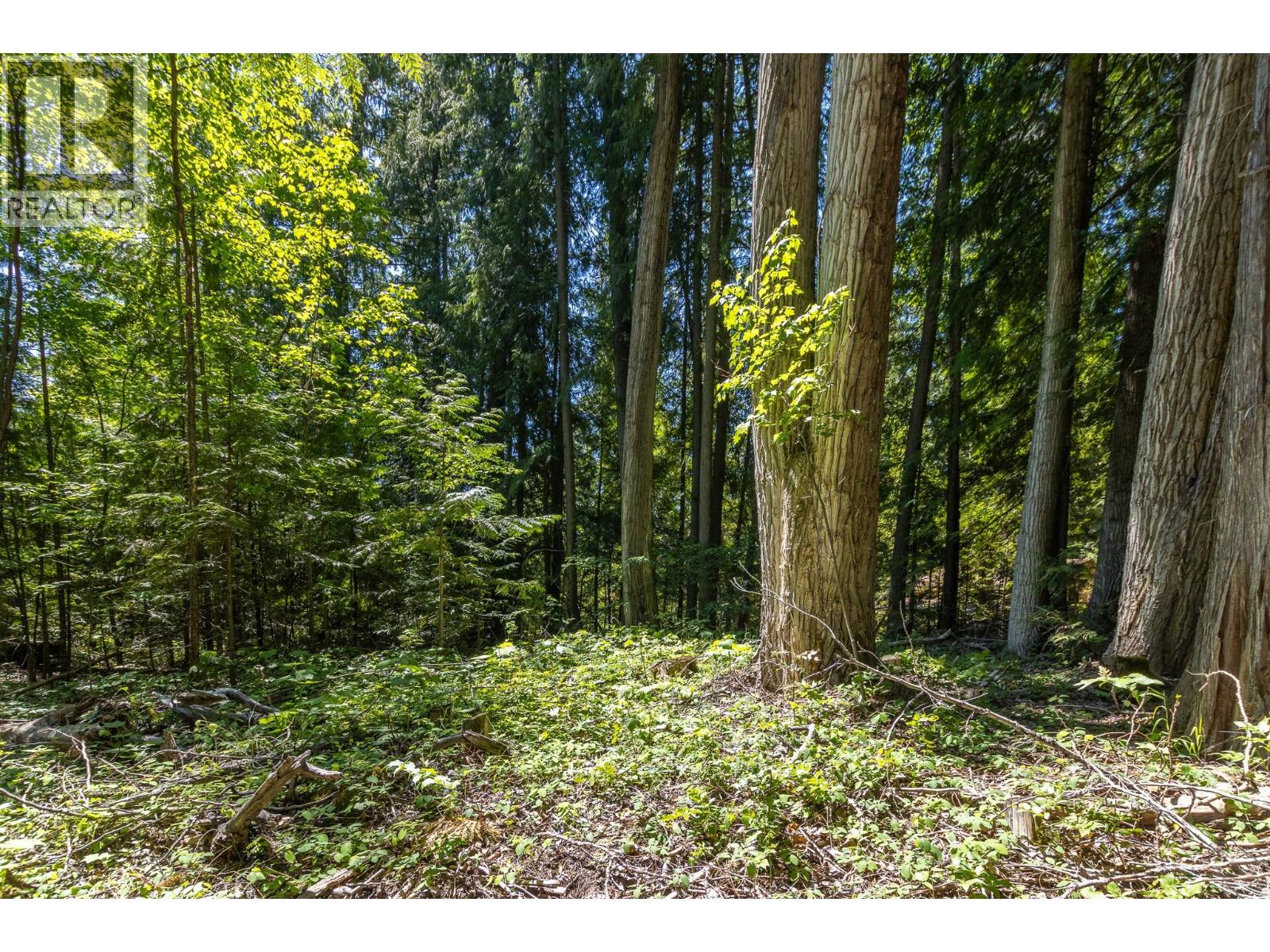 Sunnybrae Canoe Point Road Lot# 2 Property Photo 30