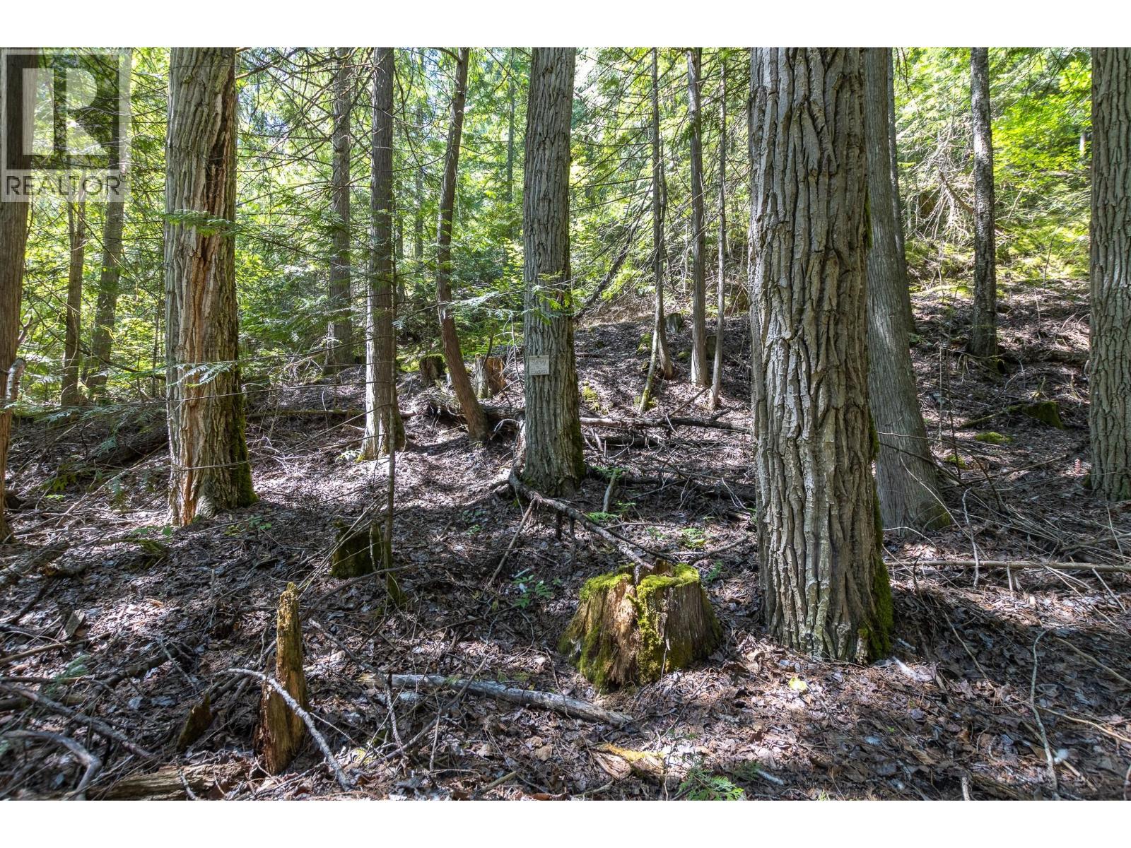 Sunnybrae Canoe Point Road Lot# 2 Property Photo 35