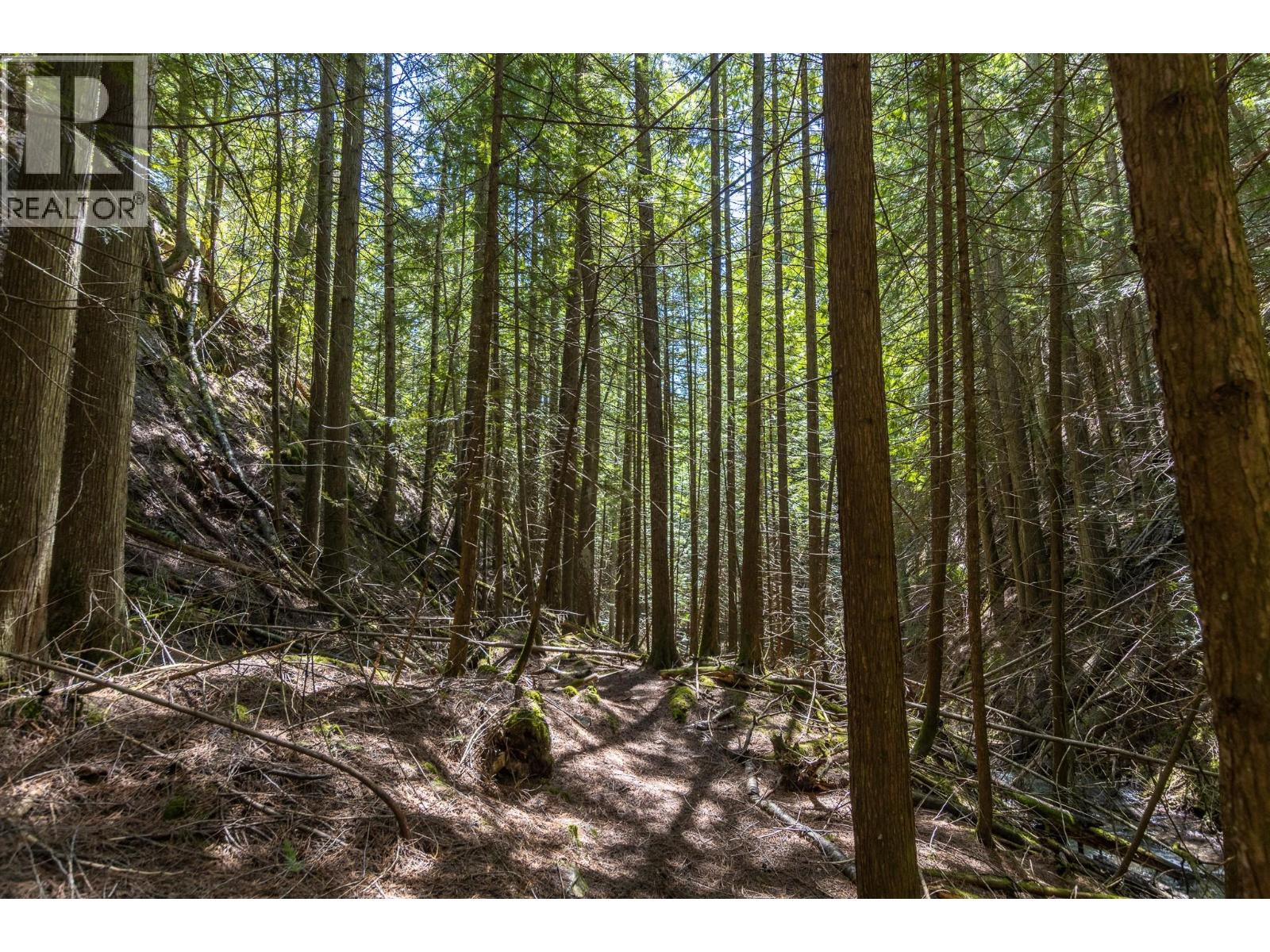 Sunnybrae Canoe Point Road Lot# 2 Property Photo 37