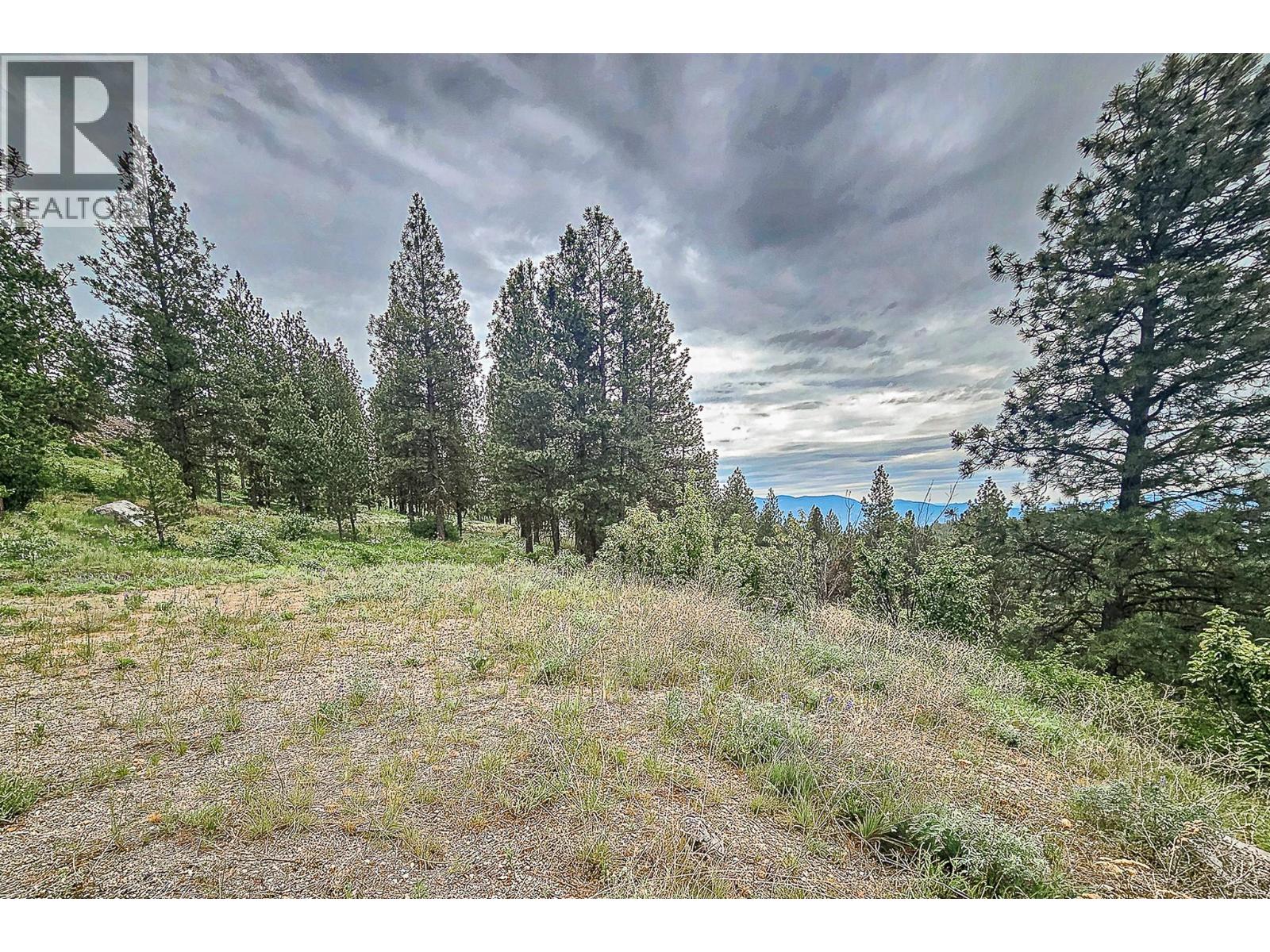 490 Sasquatch Trail Lot# 34 Property Photo 8