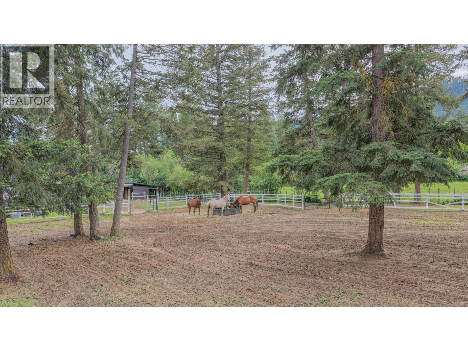 272 Lumby Mabel Lake Road Property Photo 5