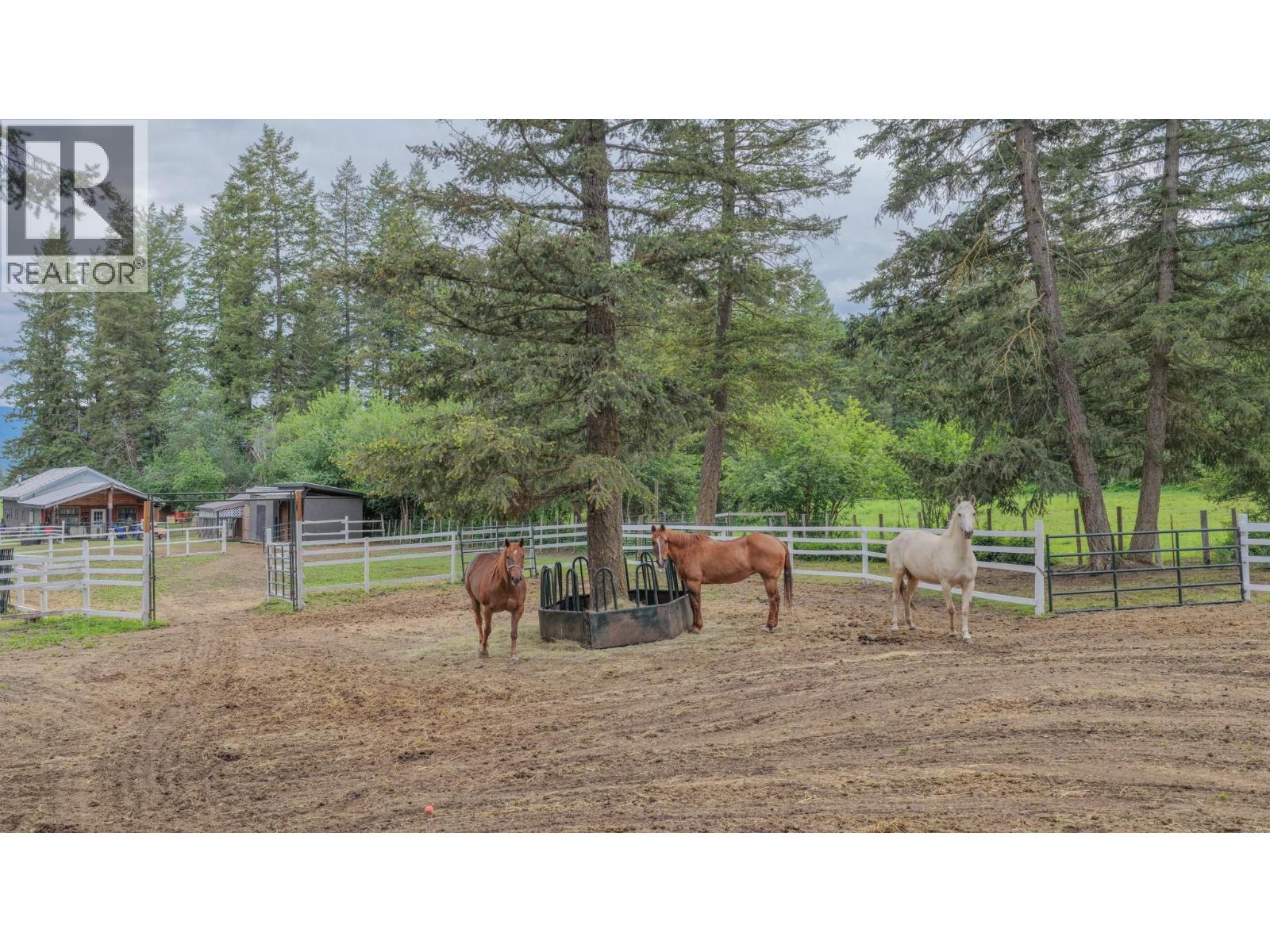 272 Lumby Mabel Lake Road Property Photo 45