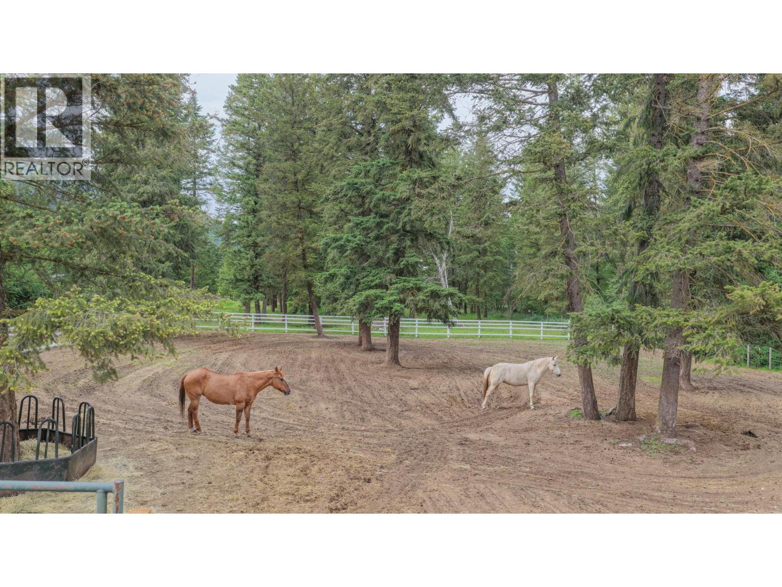 272 Lumby Mabel Lake Road Property Photo 53