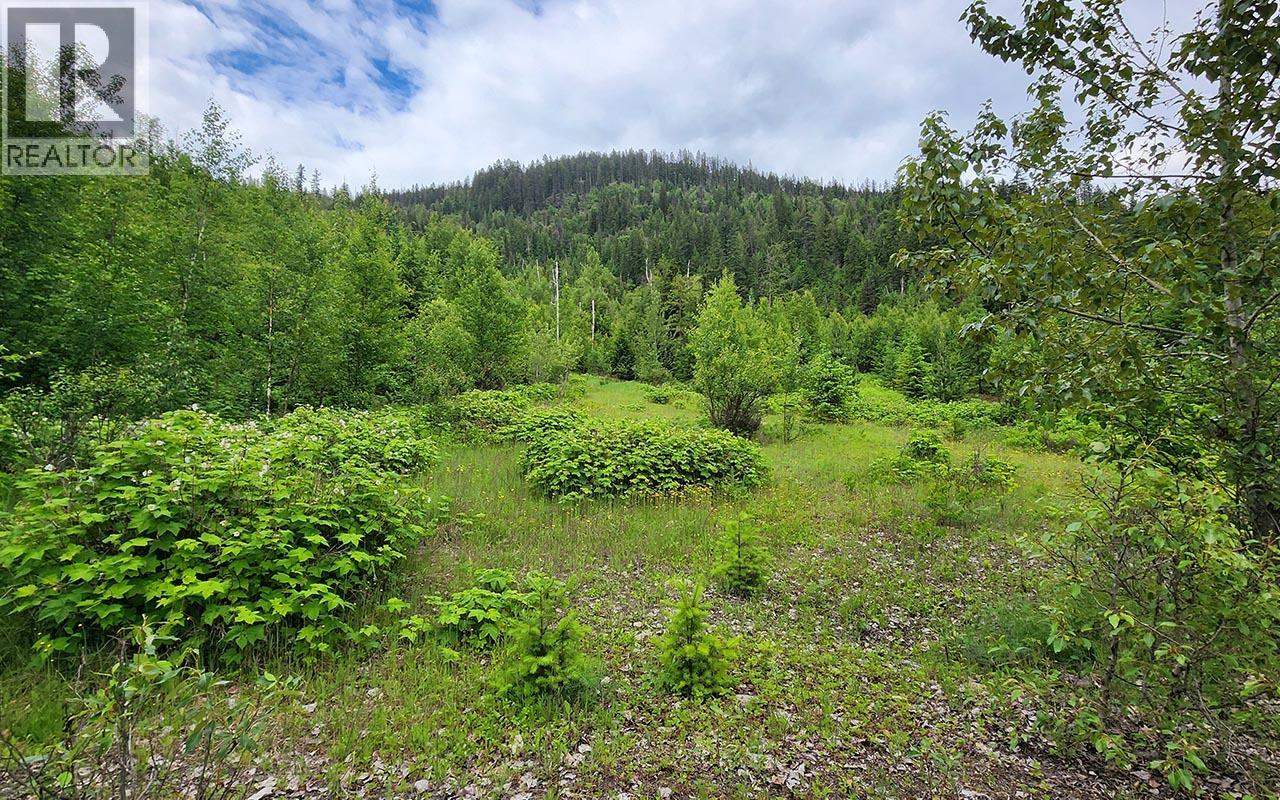 5360 6 Highway Property Photo 14