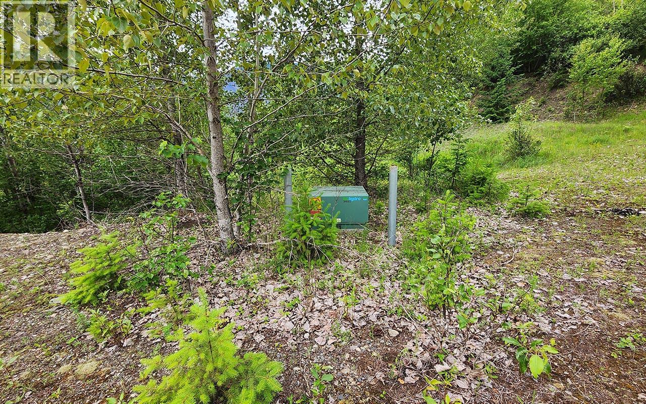 5360 6 Highway Property Photo 16