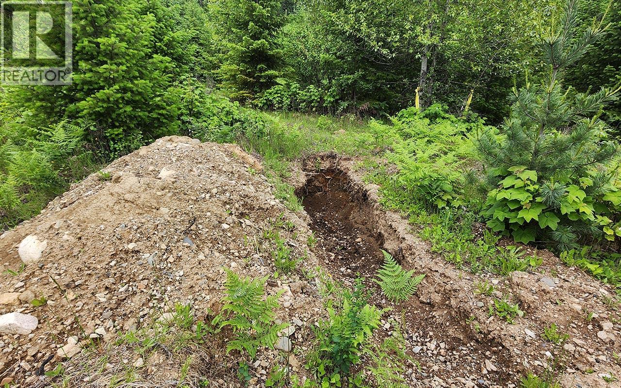 5360 6 Highway Property Photo 20