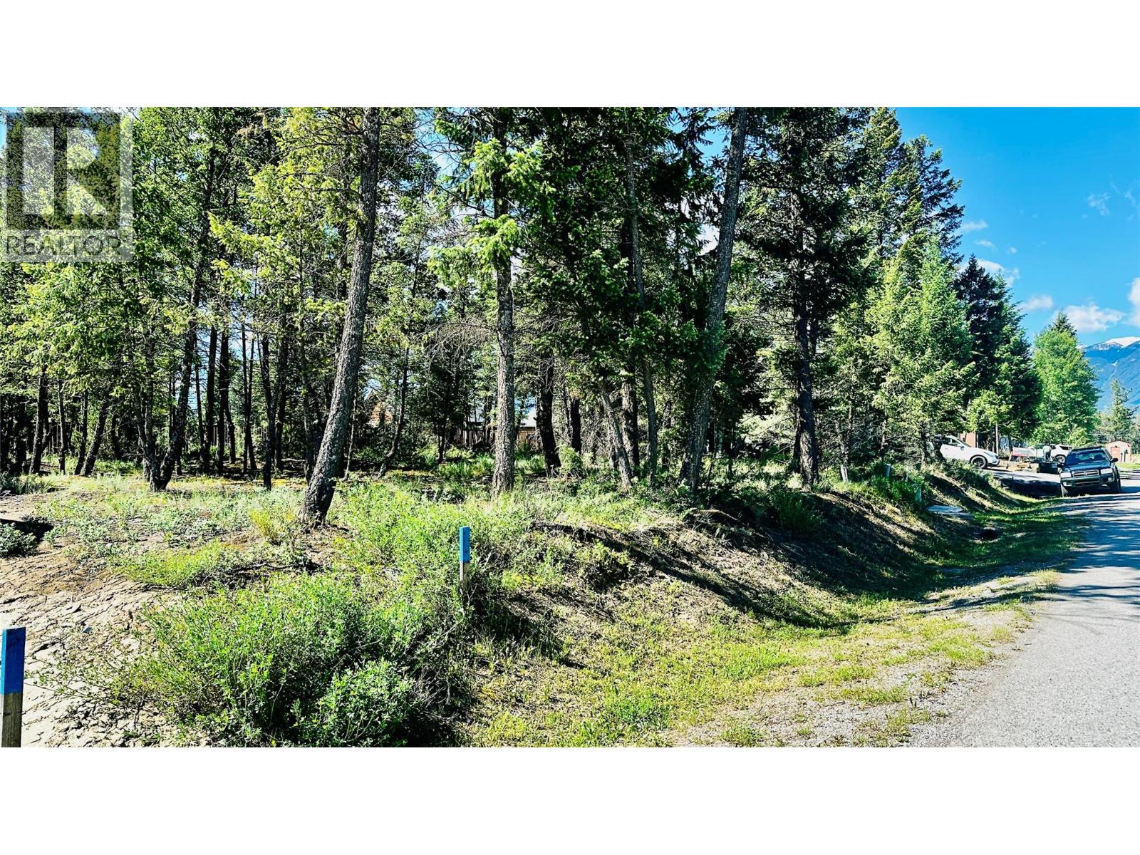 Lot 35 Copper Point Way Property Photo 5