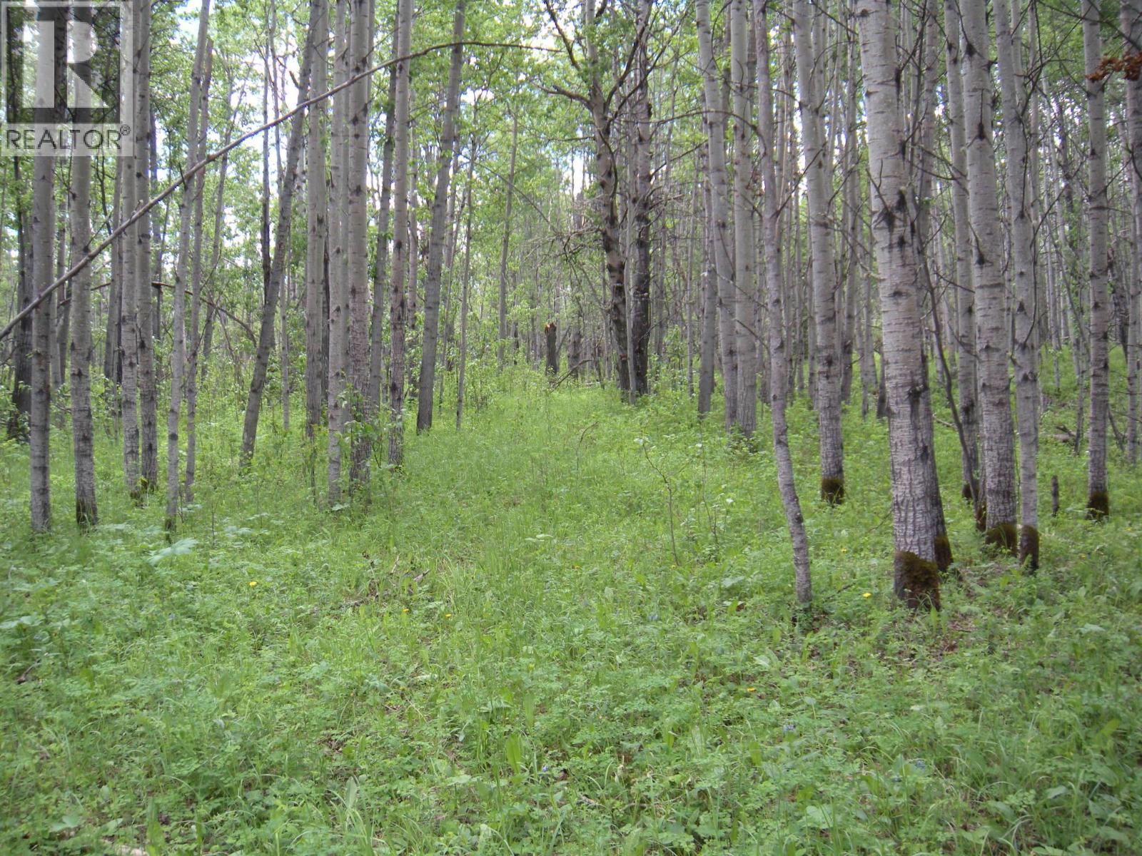 206 Sw 1/4 Sec 36 Road Property Photo 18